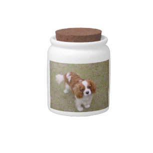Cavalier-king-charles-spaniel full candy jar