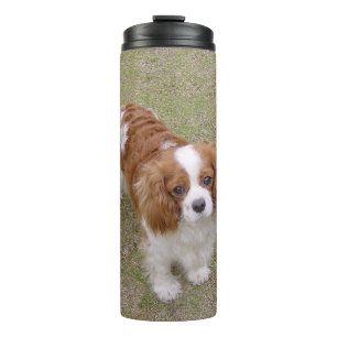 Cavalier-king-charles-spaniel full thermal tumbler