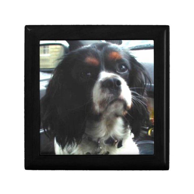 Cavalier King Charles Spaniel Gift Box (Front)