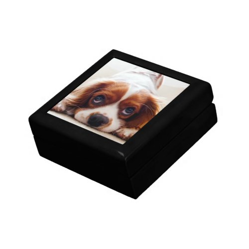 Cavalier King Charles Spaniel Gift Box