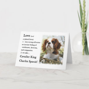 Cavalier King Charles Spaniel Gifts Card