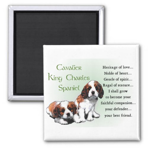 Cavalier King Charles Spaniel Gifts Magnet