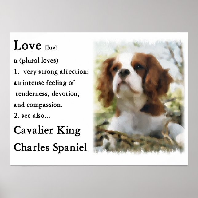 Cavalier King Charles Spaniel Gifts Poster (Front)