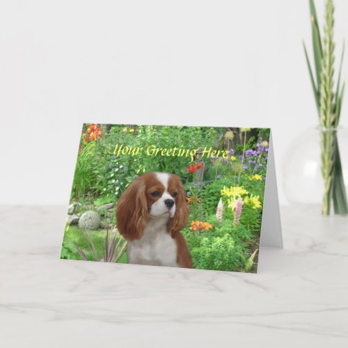 Cavalier King Charles Spaniel Greeting Card