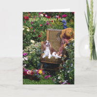 Cavalier King Charles Spaniel Greeting Card