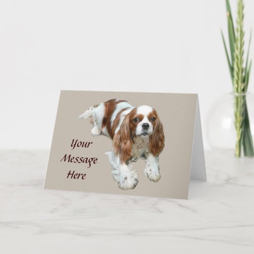 Cavalier King Charles Spaniel Greeting Card