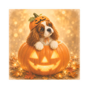 Cavalier King Charles Spaniel Halloween Pumpkin – Metal Print