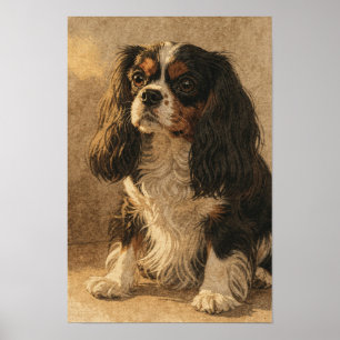 Cavalier King Charles Spaniel in Ink and Linen Poster