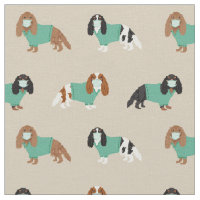 Cavalier King Charles Spaniel in scrubs tan