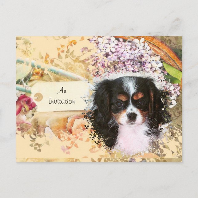 Cavalier King Charles Spaniel Invitation Postcard (Front)