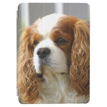 Cavalier King Charles Spaniel Ipad Air Cover by leanajalukse at Zazzle