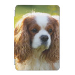 Cavalier King Charles Spaniel Ipad Mini Cover at Zazzle