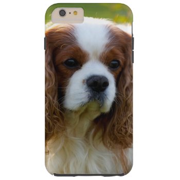 Cavalier King Charles Spaniel Iphone 6 Plus Case by leanajalukse at Zazzle