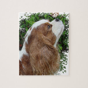 Cavalier King Charles Spaniel Jigsaw Puzzle