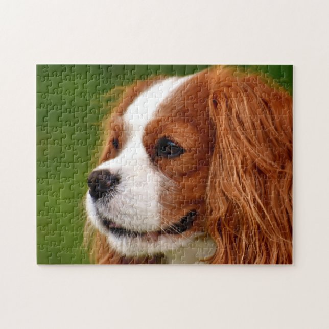 Cavalier King Charles Spaniel Jigsaw Puzzle (Horizontal)