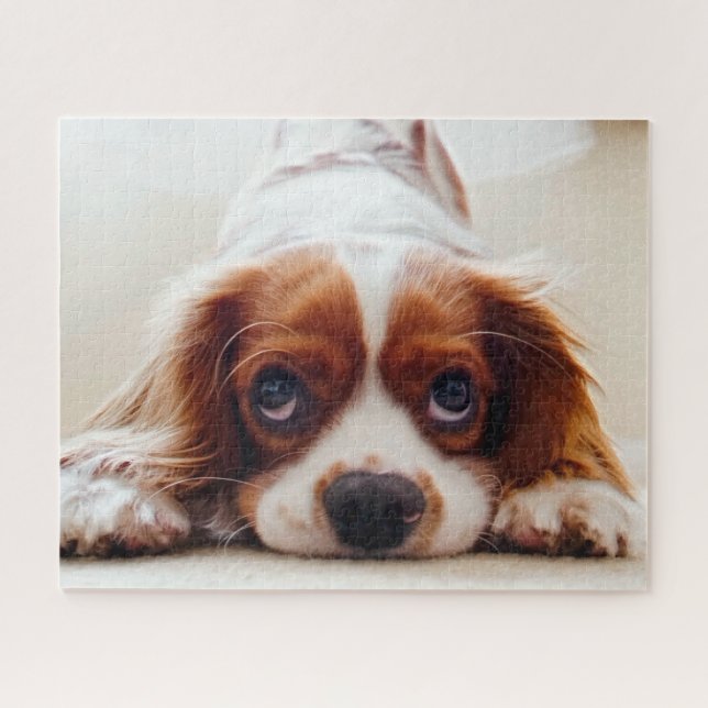 Cavalier King Charles Spaniel Jigsaw Puzzle (Horizontal)