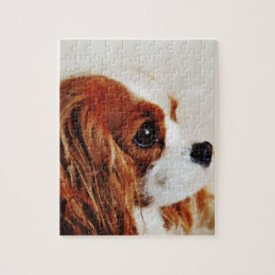 Cavalier King Charles Spaniel Jigsaw Puzzle