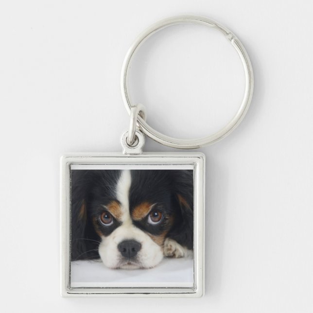 Cavalier King Charles Spaniel Keychain Tri-Colored (Front)
