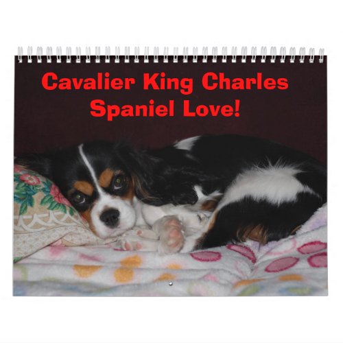 Cavalier King Charles Spaniel Love _ Customized Calendar