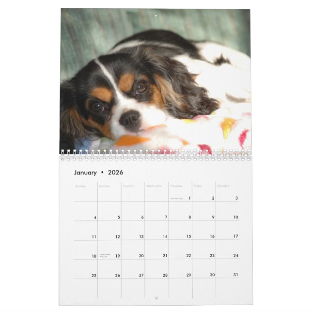 Cavalier King Charles Spaniel Love! - Customized Calendar (Jan 2026)