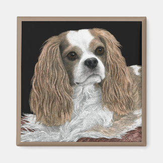 Cavalier King Charles Spaniel Magnet - "Bella"