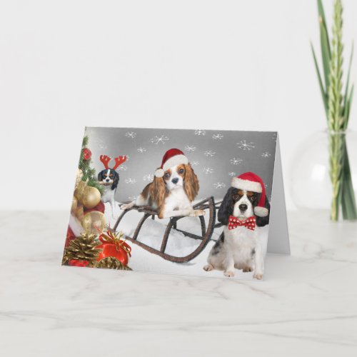 Cavalier King Charles Spaniel Merry Christmas Card