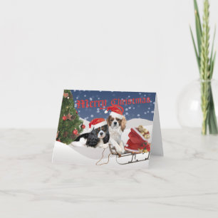 Cavalier King Charles Spaniel Merry Christmas Holiday Card