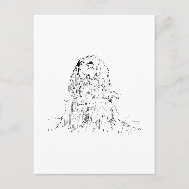 Cavalier King Charles Spaniel, Minimalist Art Postcard (Front)
