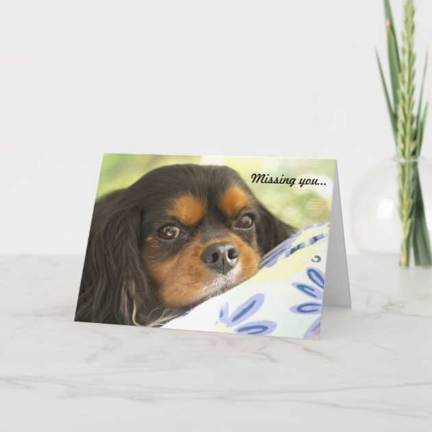 Cavalier King Charles Spaniel Mother/'s Day Card PERSONALISATION AVAILABLE