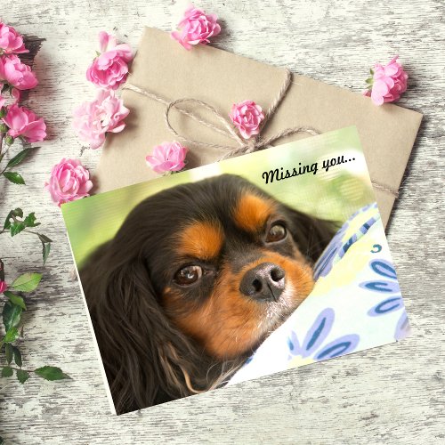 Cavalier King Charles Spaniel Missing You Card