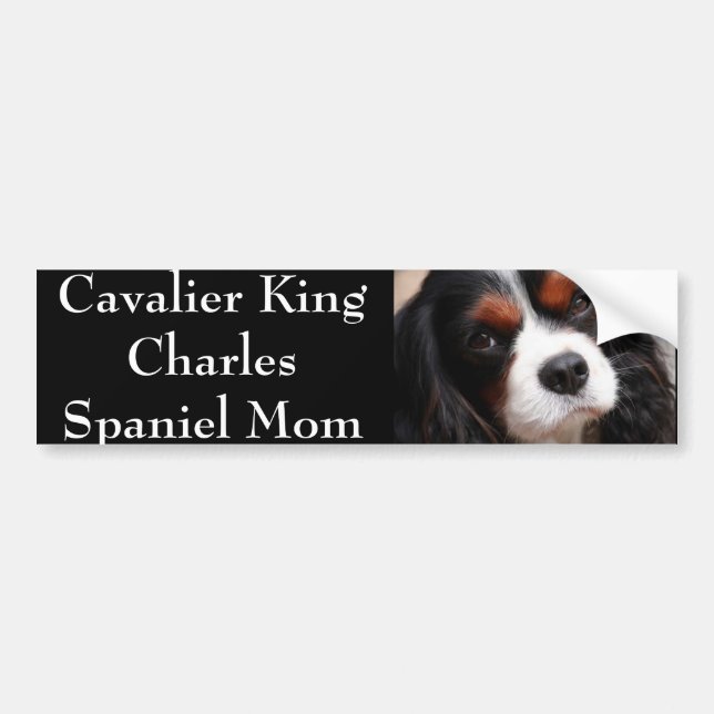 Cavalier King Charles Spaniel Mom Bumper Sticker (Front)