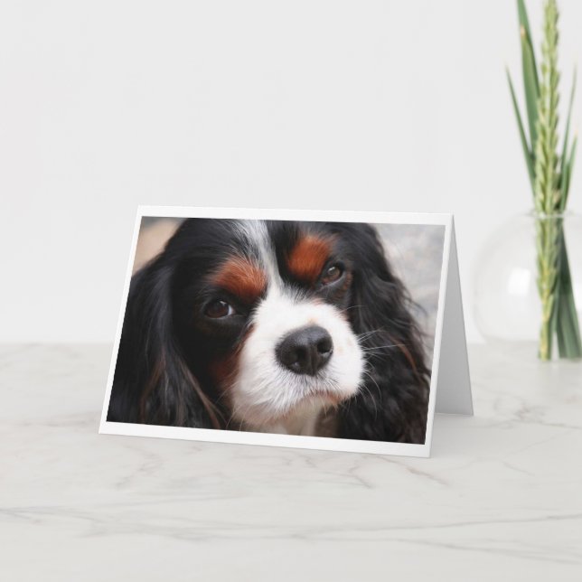 Cavalier King Charles Spaniel Mom Card (Front)