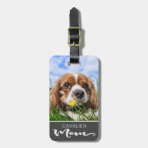 Cavalier King Charles Spaniel Mom Dog's Photo