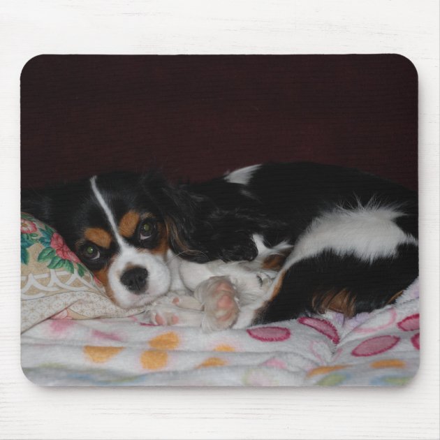 Cavalier King Charles Spaniel Mousepad