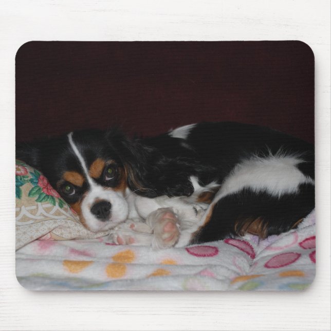 Cavalier King Charles Spaniel Mouse Pad (Front)