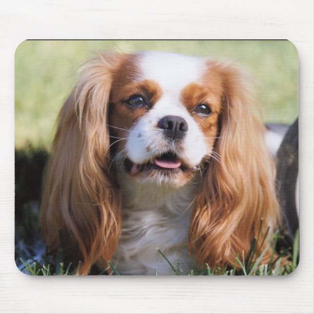 Cavalier King Charles Spaniel Mouse Pad (Front)