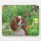 Cavalier King Charles Spaniel  Mousepad