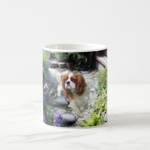 Cavalier King Charles Spaniel Mug