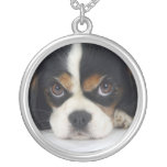 Cavalier King Charles Spaniel Necklace Tri-colored at Zazzle