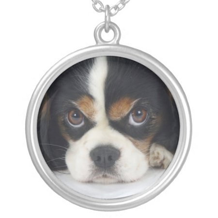Cavalier King Charles Spaniel Necklace Tri-colored