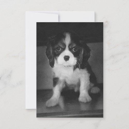 Cavalier King Charles Spaniel Note Card