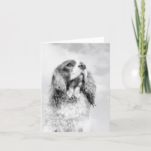 Cavalier King Charles Spaniel on a blank notecard