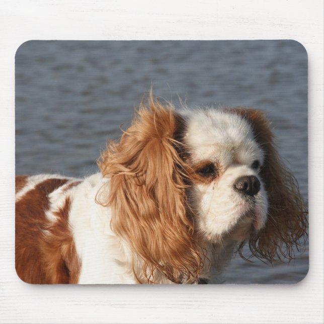 Cavalier King Charles Spaniel on Beach Mousepad (Front)