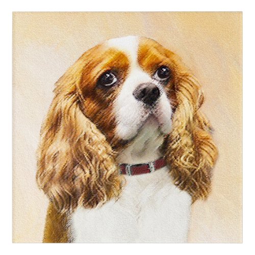 Cavalier King Charles Spaniel Original Painting Acrylic Print