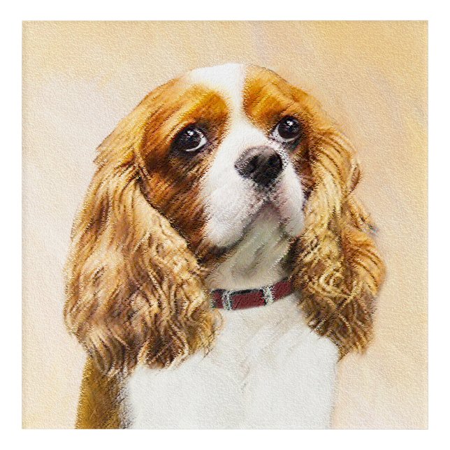 Cavalier King Charles Spaniel Original Painting Acrylic Print (Front)