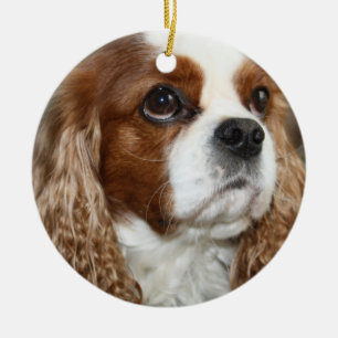 Cavalier King Charles Spaniel Ornament