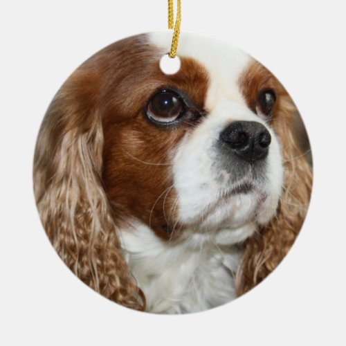 Cavalier King Charles Spaniel Ornament