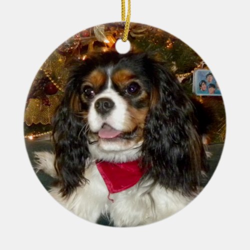 Cavalier King Charles Spaniel  Ornament