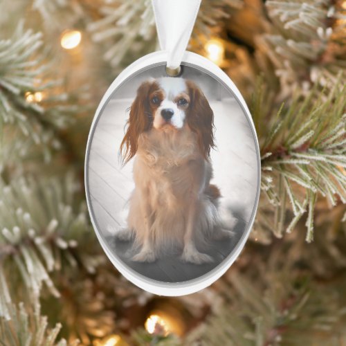 Cavalier King Charles Spaniel Ornament