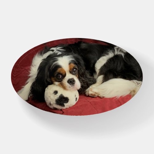 Cavalier King Charles Spaniel Oval Paperweight